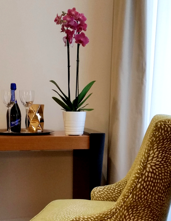 900-roma_piazza-del-popolo_deluxe_room